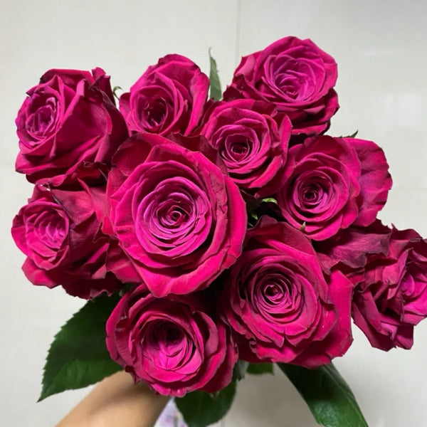 Mix Berry Rose Plant｜玫瑰浆果 – Rose_Explosion