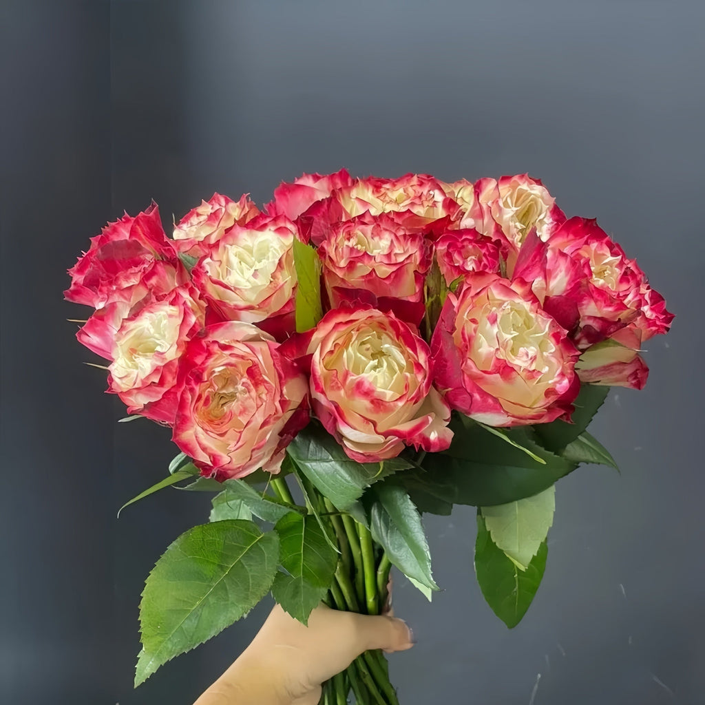 Must Have Roses Different Types of Roses for Cutting: 5 Must-Have Varieties for Your H ...