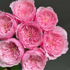 Comprehensive Review of Carey Rose (Carye Rose)