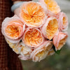 Discover the World’s Most Expensive Flower – The Juliet Rose
