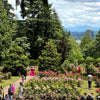 Discovering the Magic of Portland’s Rose Garden