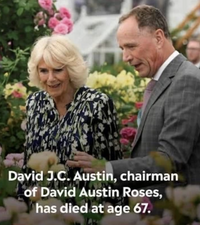 A Tribute to David Austin: The Legacy of David Austin Roses (1958–2026)
