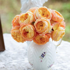 Apricot Fat Rose – Lovely Own Root Chinese Cut Rose