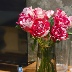 Aquarius Rose