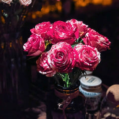 Aquarius Rose