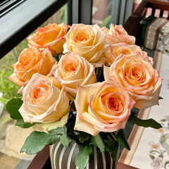 Autumn Twilight Rose Plant