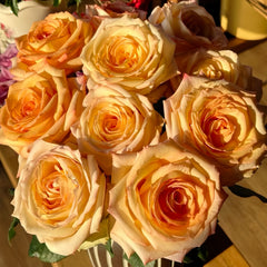 Autumn Twilight Rose Plant