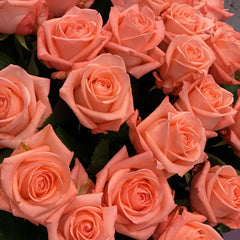 Big Girl Rose