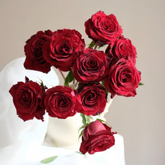 black pearl rose seeds Black Pearl Rose Plant|黑珍珠