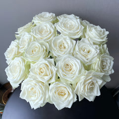 Blanche Elegance Rose