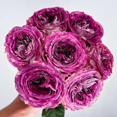 Bouquet of pink roses held by a hand against a light background
