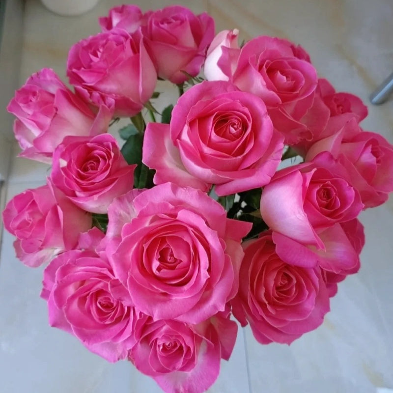 Keksa odam va sargish bilan jinsiy aloqa Qisqa soch turmagi juda sexy