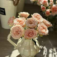 Capodimonte Rose Plant|卡波迪蒙特