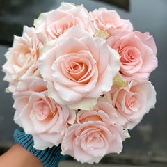 A bouquet of pale blush pink roses held by a hand wearing a blue knit sleeve, photographed close up against a dark gray background.