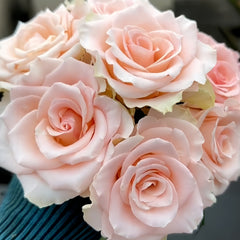 CashmereRose