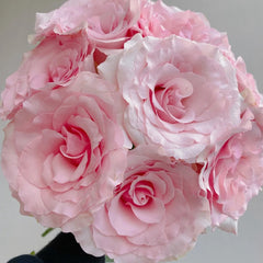 Christa Rose
