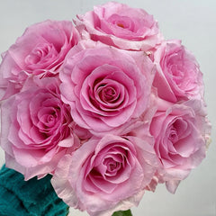 Christa Rose