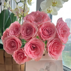 Chunxiao Rose