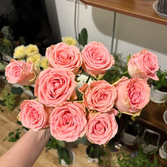 Chunxiao Rose
