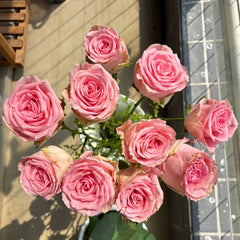 Chunxiao Rose