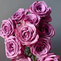 Cool Water Rose