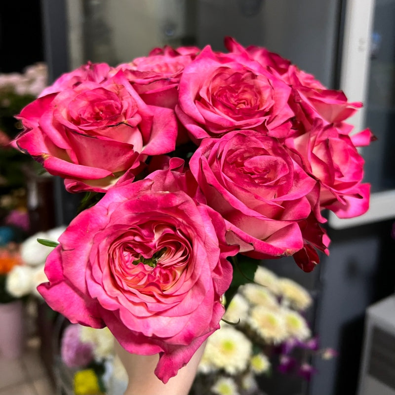 house rose plant Country Spirit House Rose Plant |乡村雅舍