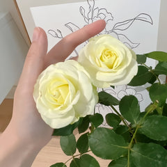 Cream Cake Rose
