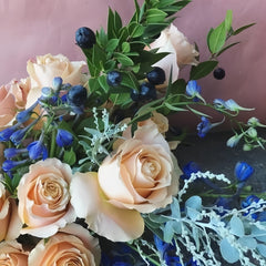 Cream Carpediem Rose Plant