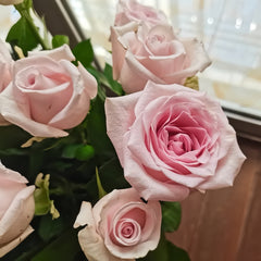 Dainty Parfum Rose 