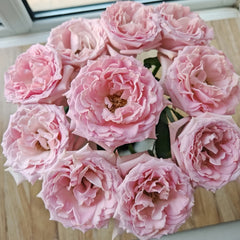 Dainty Parfum Rose 