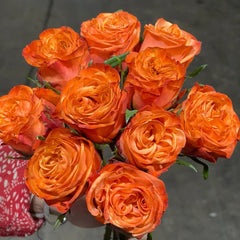 Danyang Rose