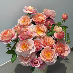 Distant Drums Rose