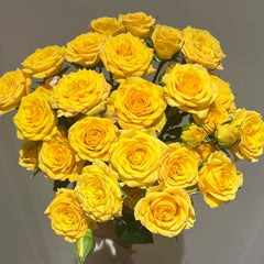 Dream Barbie Bubble Rose