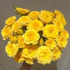 Dream Barbie Bubble Rose