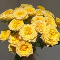 Dream Barbie Bubble Rose