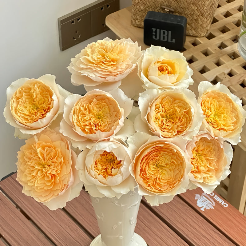 Wedding Rose Gift Set – Effie, Millicent & Hettie Roses