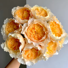 Wedding Rose Gift Set – Effie, Millicent & Hettie Roses