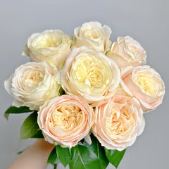 Elol Rose