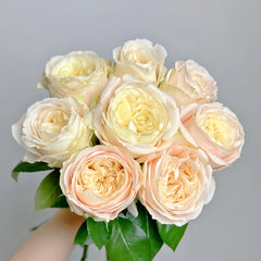 Elol Rose