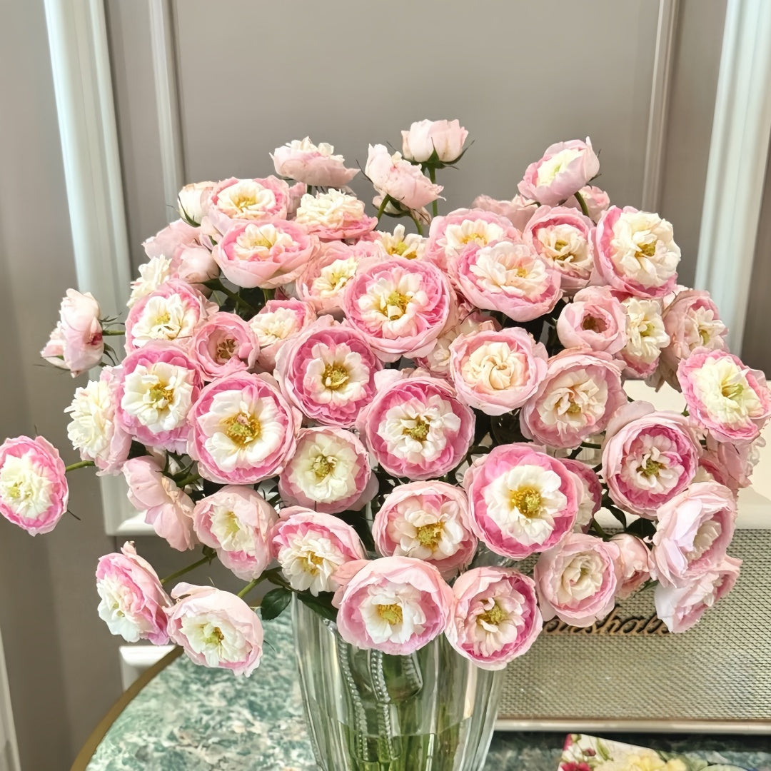 Glided Roses Gilded Oath Rose Plant|鎏金誓言-Pre Sale – Rose_Explosion