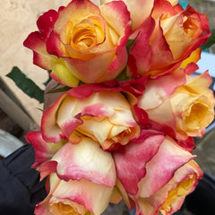 Good Day Sunshine Rose
