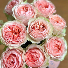 Bouquet of pink roses with a soft focus background