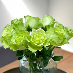 Green Generation Rose 07