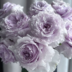 He Meng Rose