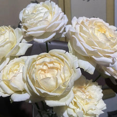 Ivory Yves Piaget Rose Plant – Elegant Blooms for Your Garden