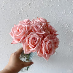 Janina Rose Plant|佳妮娜