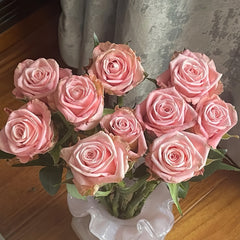 Janina Rose Plant|佳妮娜