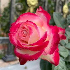 Jubile du Prince de Monaco