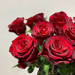 Legends Rose