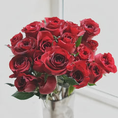 Legends Rose
